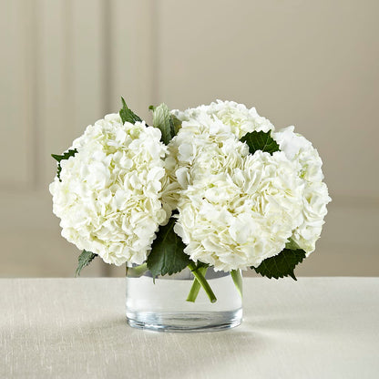 White Hydrangea Bouquet – SIXTO'S FLOWER SHOP, Union City NJ